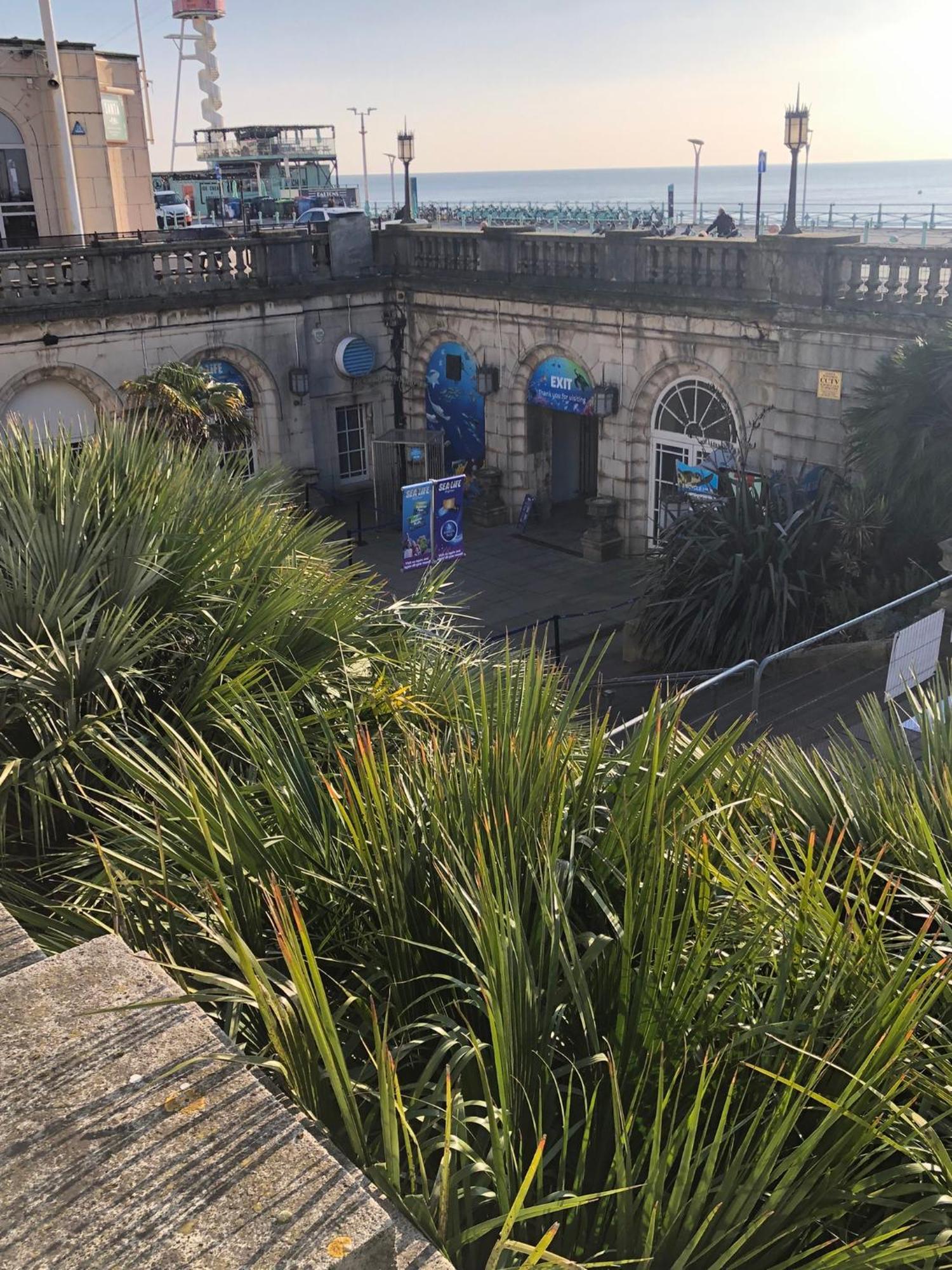 Apartment Seaside Flat With Sunny Garden. Brighton