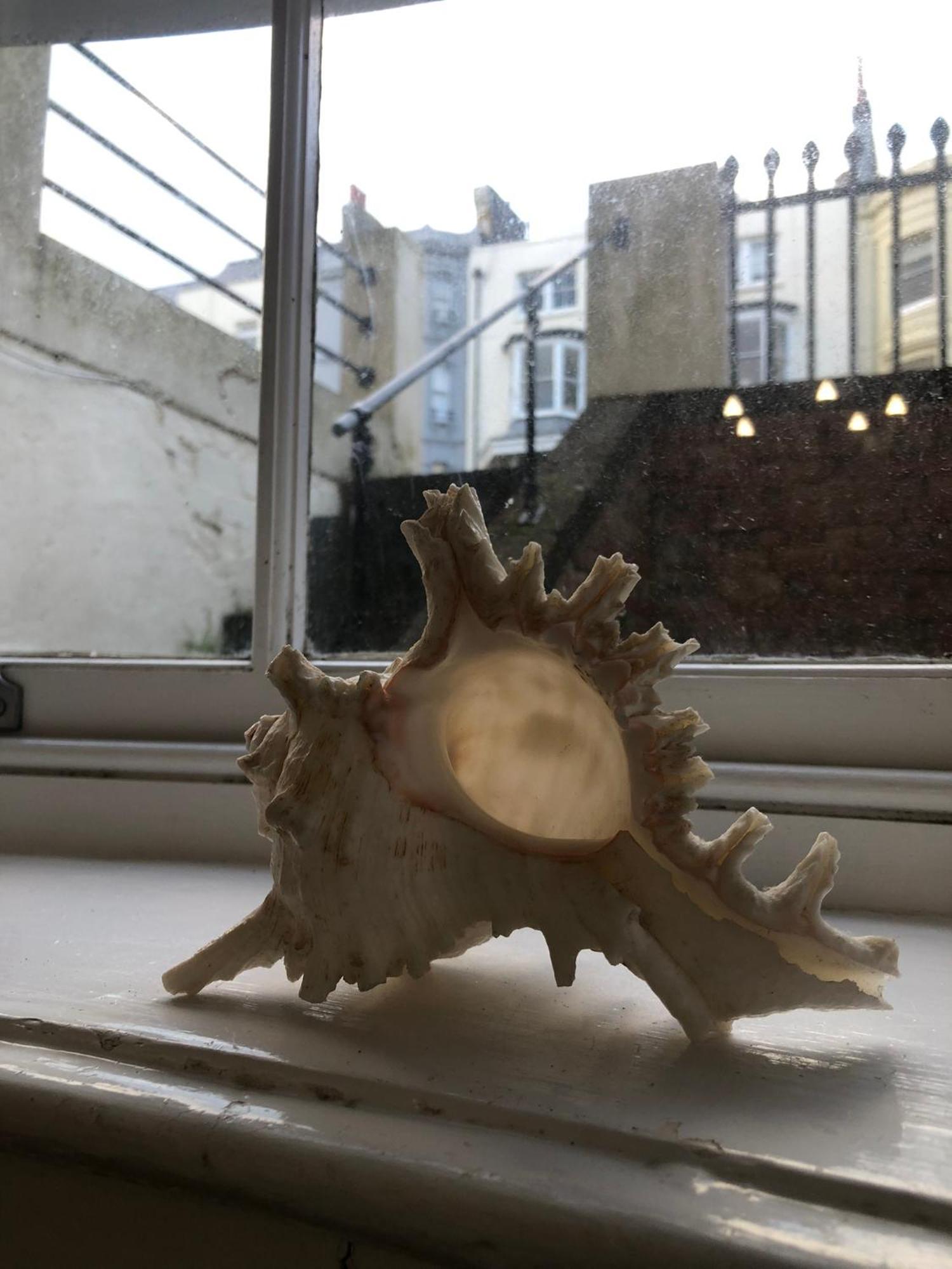 Appartamento Seaside Flat With Sunny Garden. Hove